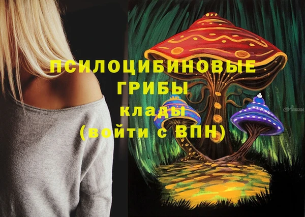 прущая мука Медногорск