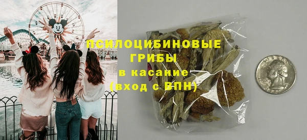 прущая мука Медногорск