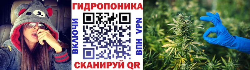 продажа наркотиков  Щёлкино  Марихуана THC 21% 